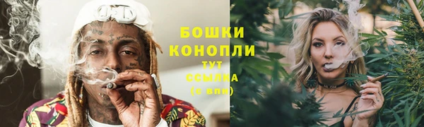гидропоника Балабаново
