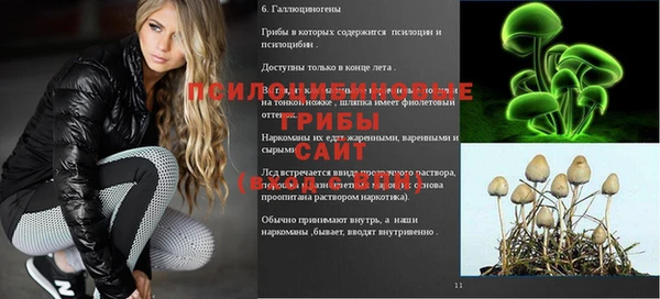 гидропоника Балабаново